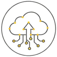 IT & Software